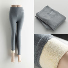 Load image into Gallery viewer, Seamless Fitness Leggings