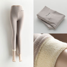 Load image into Gallery viewer, Seamless Fitness Leggings